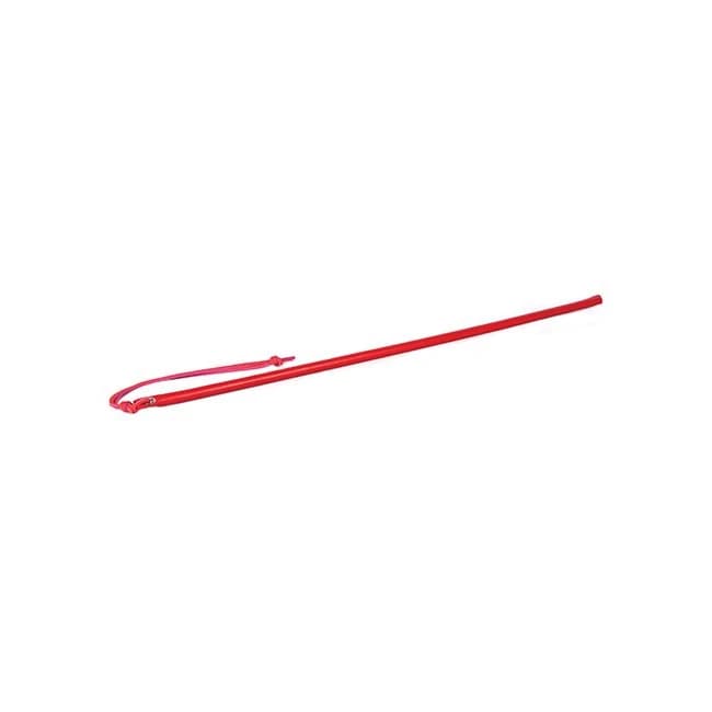 Leather Wrapped Cane, image 1