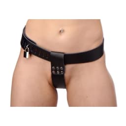 Adjustable Female Chastity Belt, image 1
