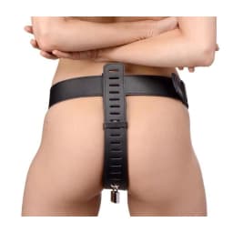 Adjustable Female Chastity Belt, image 2
