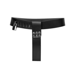 Adjustable Female Chastity Belt, image 3