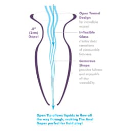 Anal Fantasy Elite Beginner's Anal Gaper, image 4