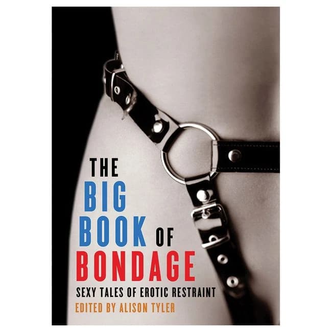 Big Book of Bondage - Image 1