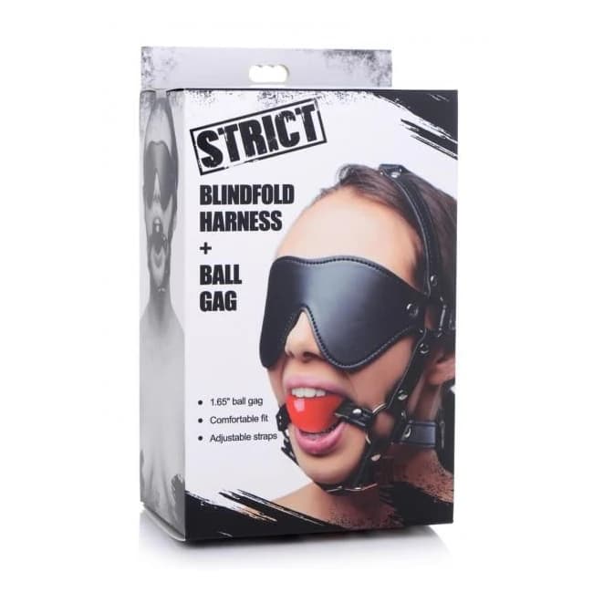 Blindfold Harness and Ball Gag - Image 1
