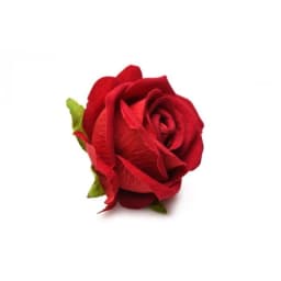 Bloomgasm the Rose Lovers G Box Red - Image 8