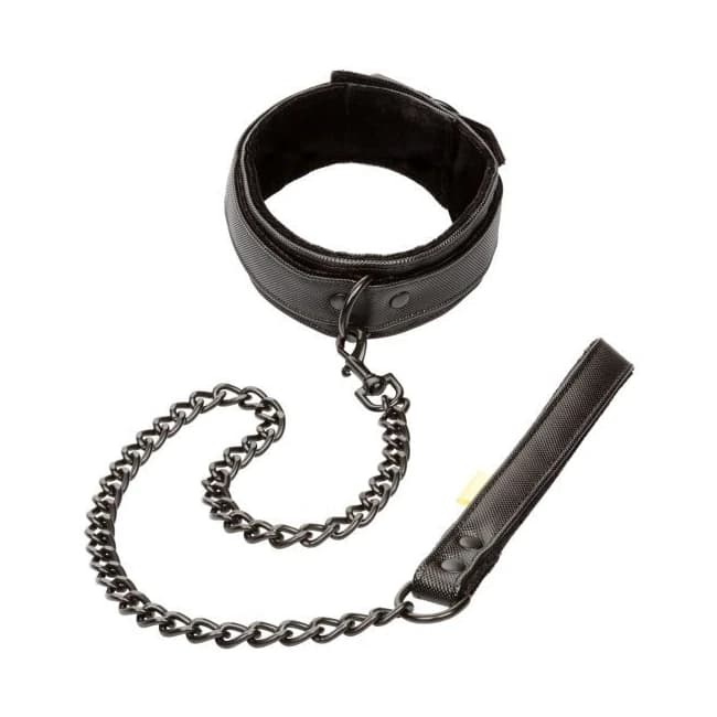 Boundless Collar & Leash - Image 2
