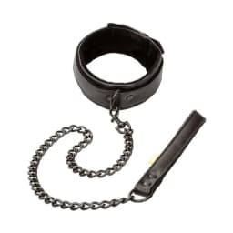 Boundless Collar & Leash, image 2