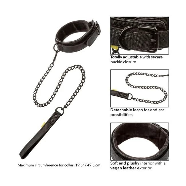 Boundless Collar & Leash - Image 4