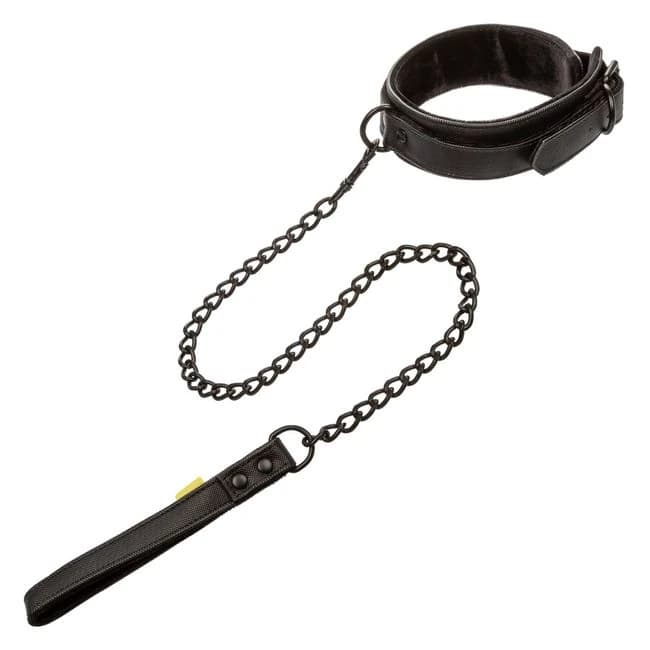 Boundless Collar & Leash - Image 7