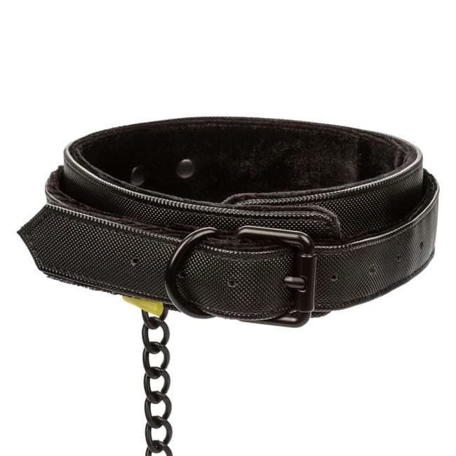 Boundless Collar & Leash - Image 8
