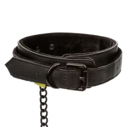 Boundless Collar & Leash, image 8