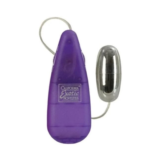 Bulk Bullet with Controller - Image 1