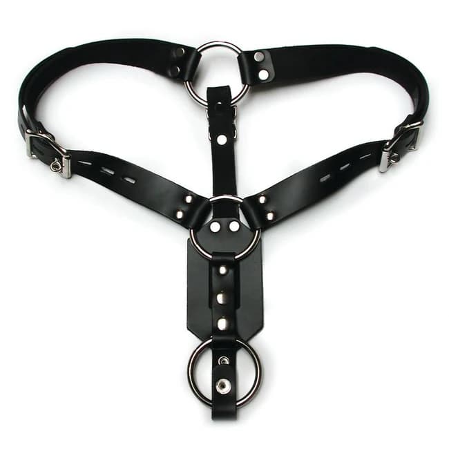 Butt Plug Harness W/cock Ring - Image 1