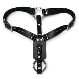 Butt Plug Harness W/cock Ring - Image 1