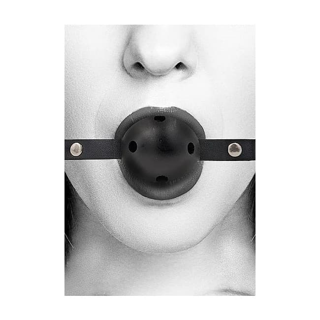 Ball Gag, image 1
