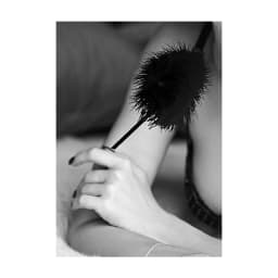 B&w Feather Tickler, image 2