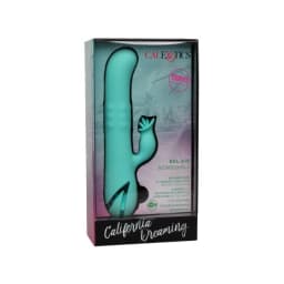 California Dreaming Bel Air Bombshell, image 3