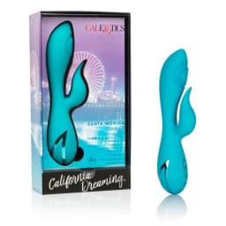 California Dreaming Santa, image 1