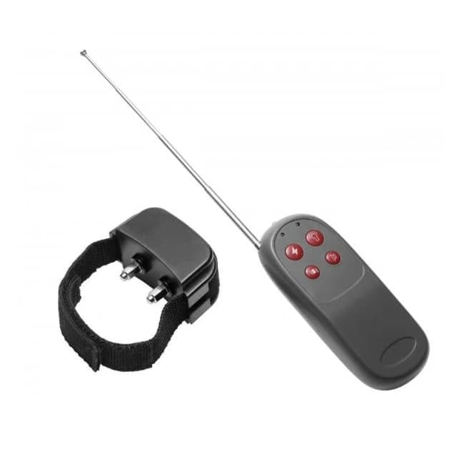 C*ck Shock Remote Cbt Electric C*ck Ring - Image 1
