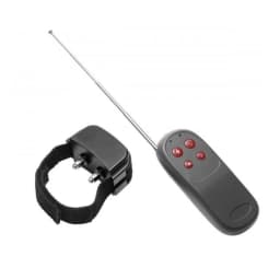 C*ck Shock Remote Cbt Electric C*ck Ring, image 1