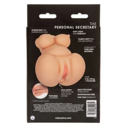 Cheap Thrills the Personal Secretary - Image 6