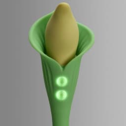 Cloud 9 Spathe Lily Vibe, image 5