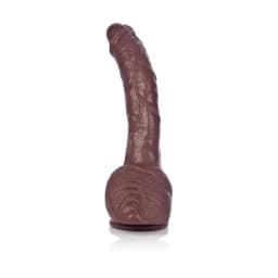 Colt Adam Dexter Dong, image 3