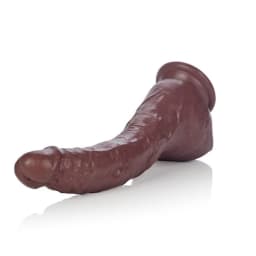 Colt Adam Dexter Dong, image 4