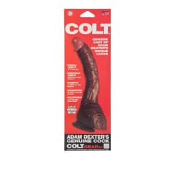 Colt Adam Dexter Dong, image 8