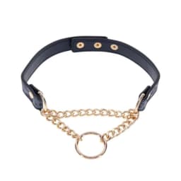 Cougar Day Collar - Image 1