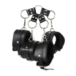 Adam & Eve's Hog Tie, image 3
