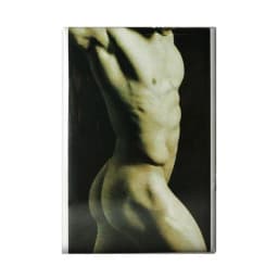 (d) Gaysentials Magnet Pack B - Image 1