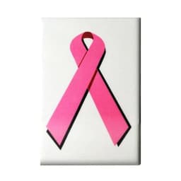 (d) Gaysentials Magnet Pack B - Image 4
