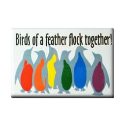 (d) Gaysentials Magnet Pack B - Image 9