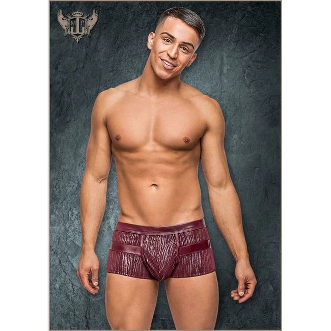 Dazzle Insert Short Burgundy M - Image 1