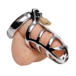 Detained Stainless Steel Chastity Cage, image 1
