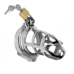 Detained Stainless Steel Chastity Cage, image 3