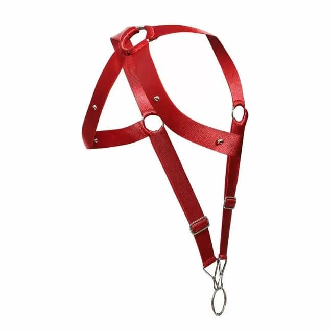 Dngeon Crossback Harness, image 1