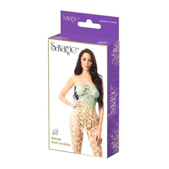 Dream Bodystocking, image 1
