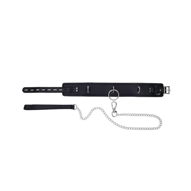 Edge Collar & Leash - Image 4