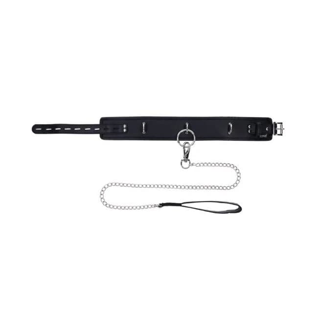 Edge Collar & Leash - Image 5