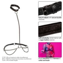 Euphoria Chain Halter Collar & Leash, image 4