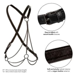 Euphoria Multi Chain Harness, image 5