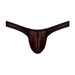 Euro Male Mesh Thong, image 3