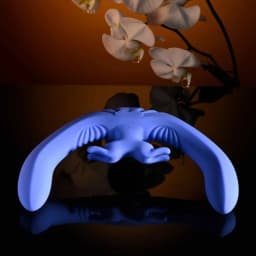 Evolved Lovebirds, image 3