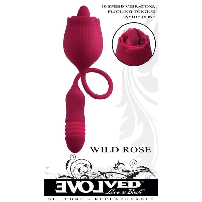 Evolved Wild Rose - Image 1