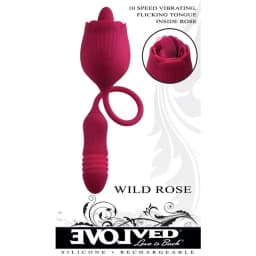 Evolved Wild Rose, image 1