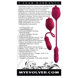 Evolved Wild Rose, image 3