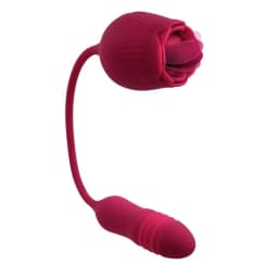 Evolved Wild Rose, image 7