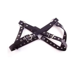 Female Chest Harness, image 6
