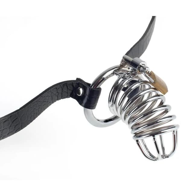 Fetish Fantasy Extreme Chastity Belt - Image 1